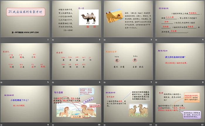 《我应该感到自豪才对》PPT下载