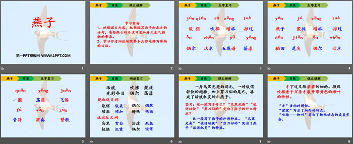 《燕子》PPT教学课件