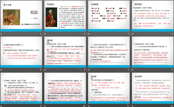 《松鼠》PPT免费课件