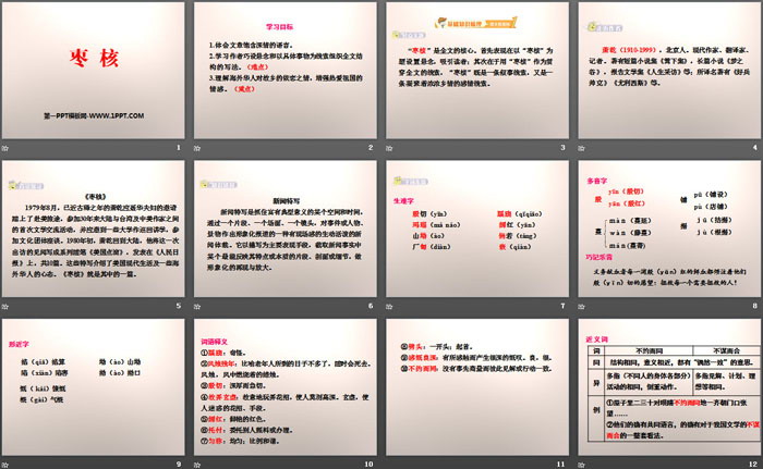 《枣核》PPT下载