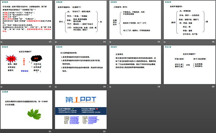 《在烈日和暴雨下》PPT