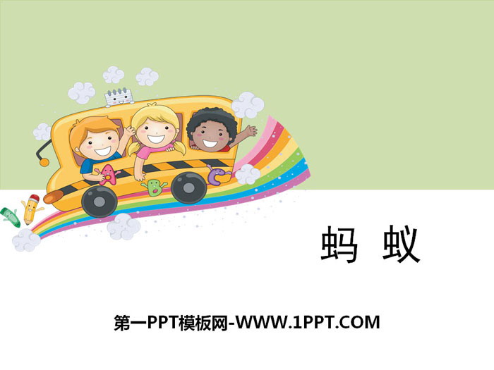 《蚂蚁》动物PPT