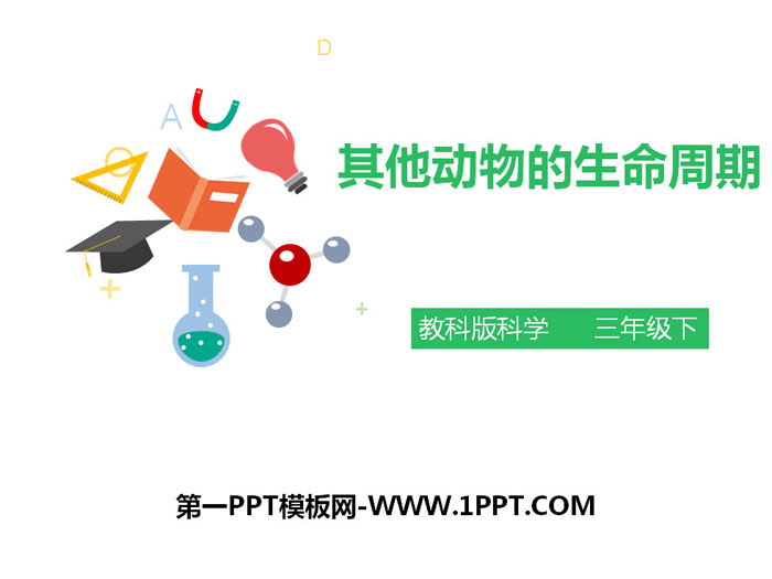 《其他动物的生命周期》动物的生命周期PPT下载