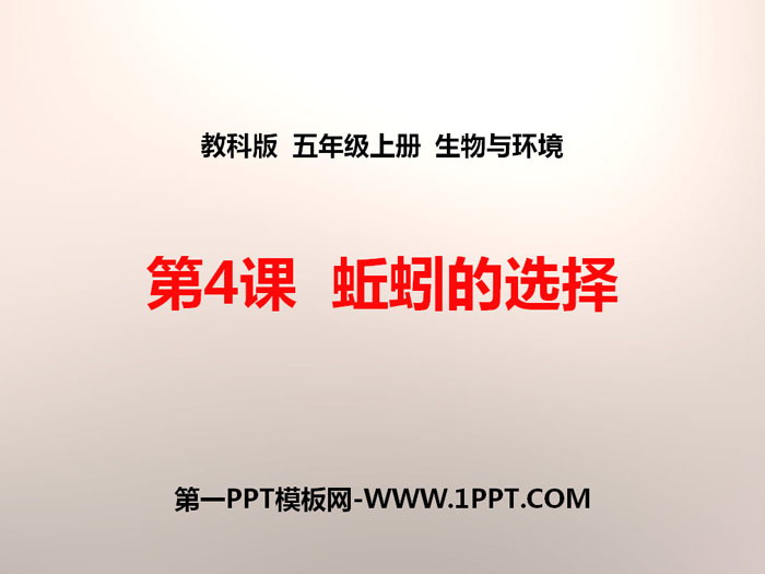 《蚯蚓的选择》生物与环境PPT下载