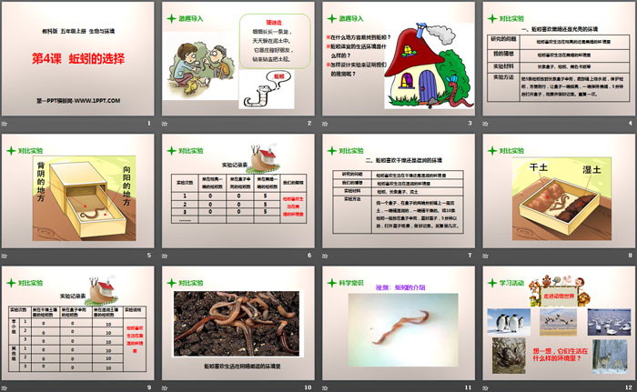 《蚯蚓的选择》生物与环境PPT下载