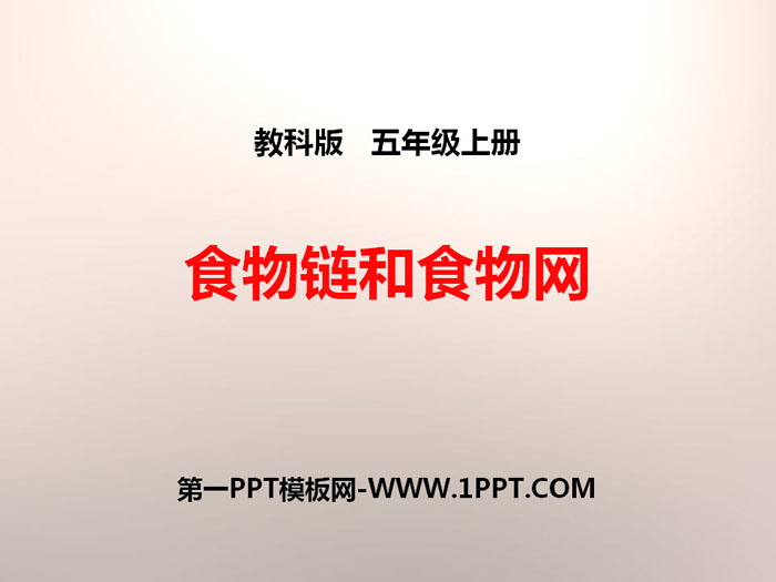 《食物链和食物网》生物与环境PPT