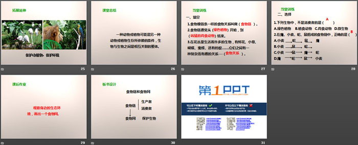 《食物链和食物网》生物与环境PPT