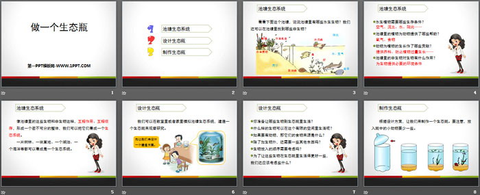 《做一个生态瓶》生物与环境PPT下载