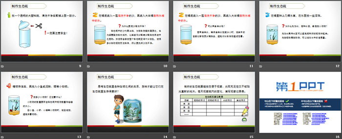 《做一个生态瓶》生物与环境PPT下载