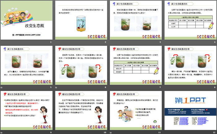 《改变生态瓶》生物与环境PPT