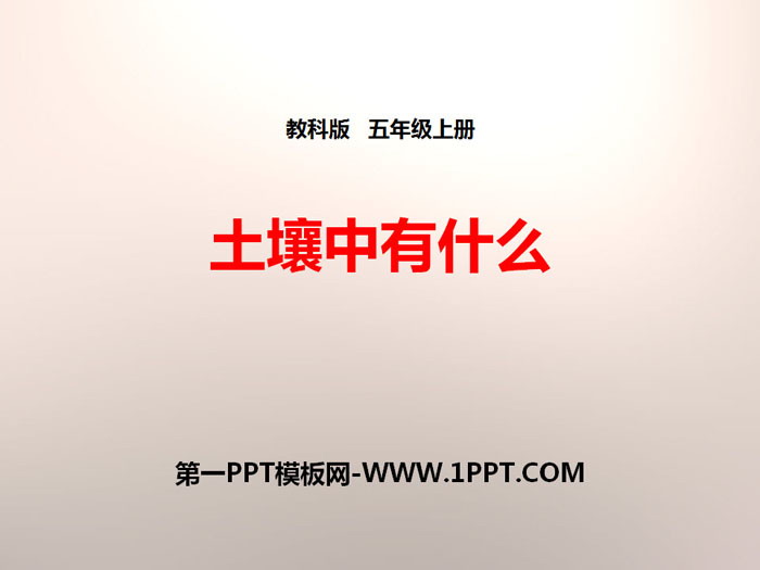《土壤中有什么》地球表面及其变化PPT下载