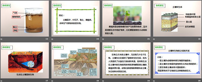 《土壤中有什么》地球表面及其变化PPT下载