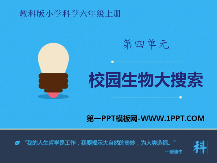 《校园生物大搜索》生物的多样性PPT教学课件