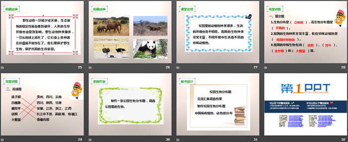 《校园生物分布图》生物的多样性PPT下载