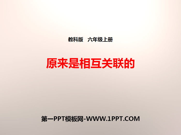 《原来是相互关联的》生物的多样性PPT