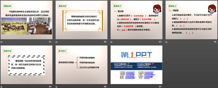 《原来是相互关联的》生物的多样性PPT