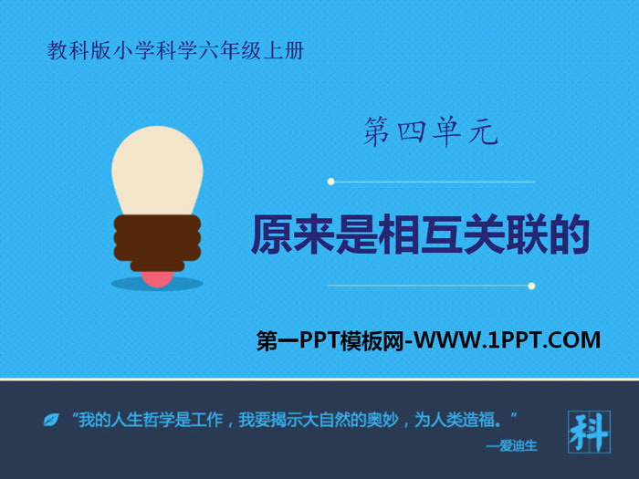 《原来是相互关联的》生物的多样性PPT下载