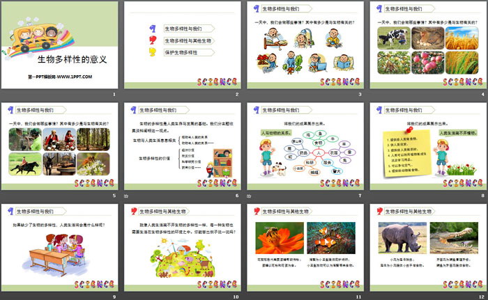《生物多样性的意义》生物的多样性PPT