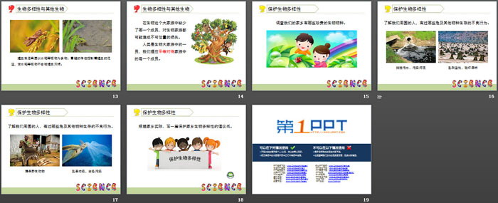 《生物多样性的意义》生物的多样性PPT