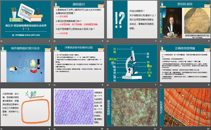 《用显微镜观察身边的生命世界(一)》微小世界PPT教学课件
