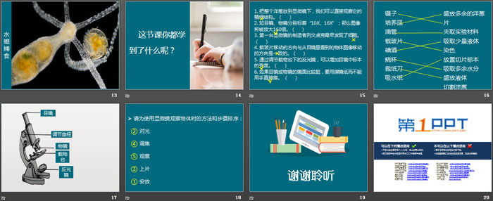 《用显微镜观察身边的生命世界(一)》微小世界PPT教学课件