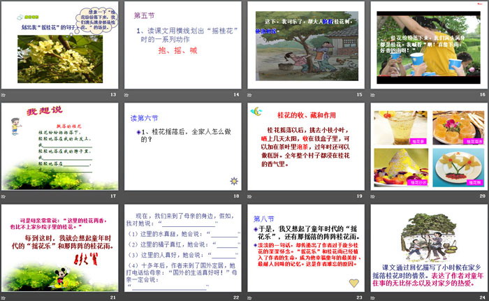 《桂花雨》PPT免费课件