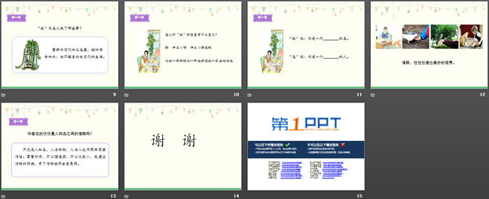 《珍珠鸟》PPT免费下载