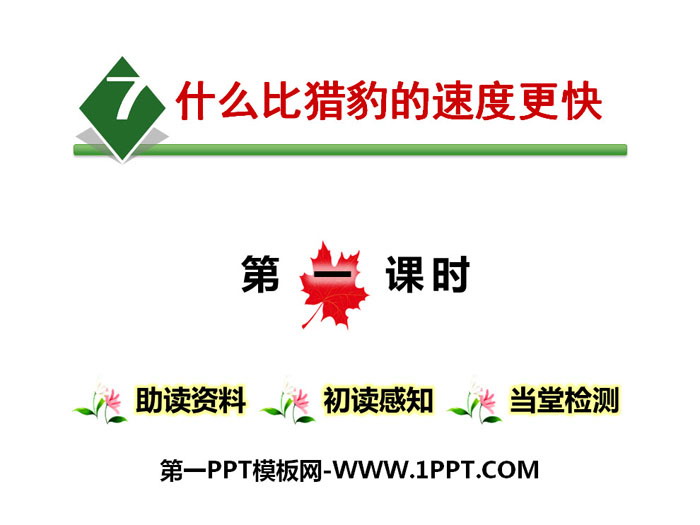 《什么比猎豹的速度更快》PPT课件