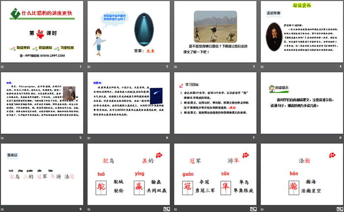 《什么比猎豹的速度更快》PPT课件