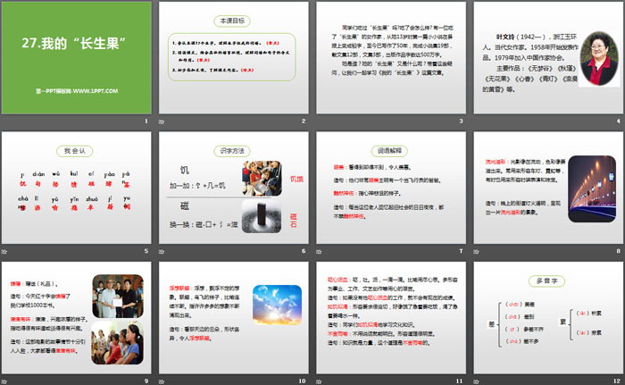 《我的“长生果”》PPT免费课件