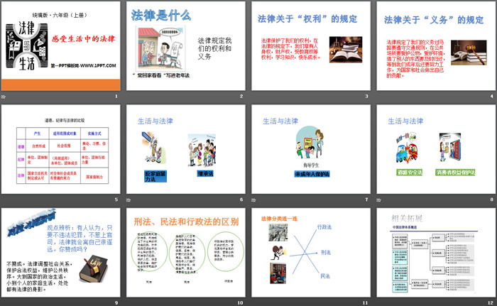 《感受生活中的法律》我们的守护者PPT