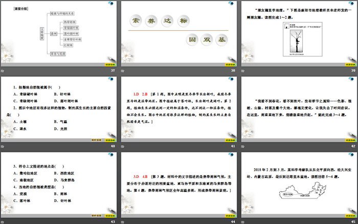 《植被》植被与土壤PPT