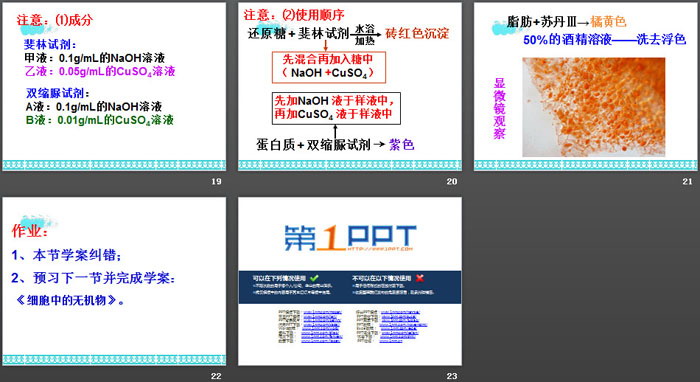 《细胞中的元素和化合物》组成细胞的分子PPT