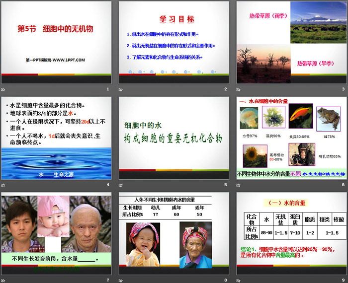 《细胞中的无机物》组成细胞的分子PPT
