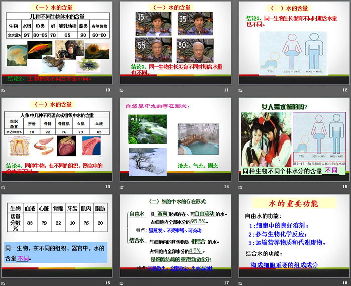 《细胞中的无机物》组成细胞的分子PPT