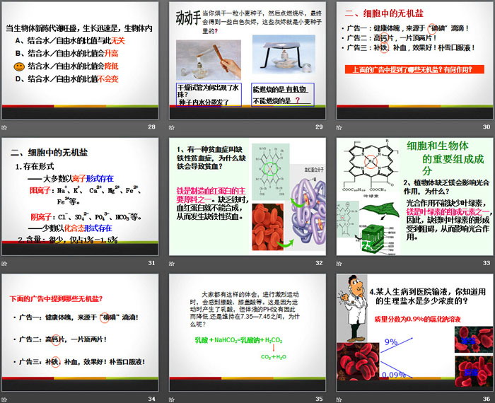 《细胞中的无机物》组成细胞的分子PPT