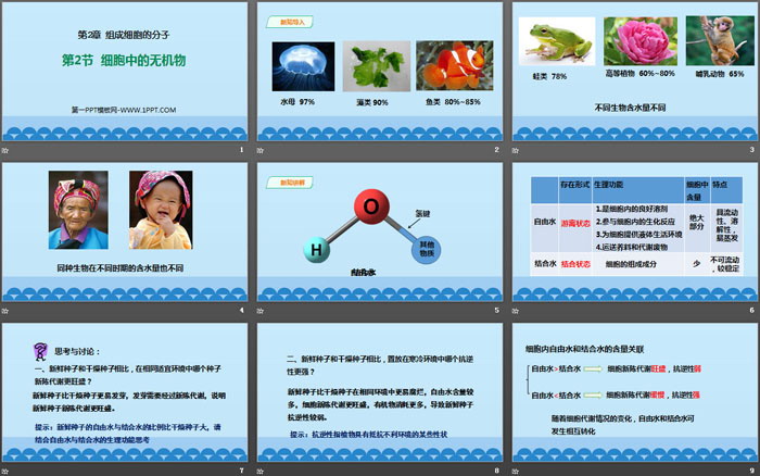 《细胞中的无机物》组成细胞的分子PPT课件