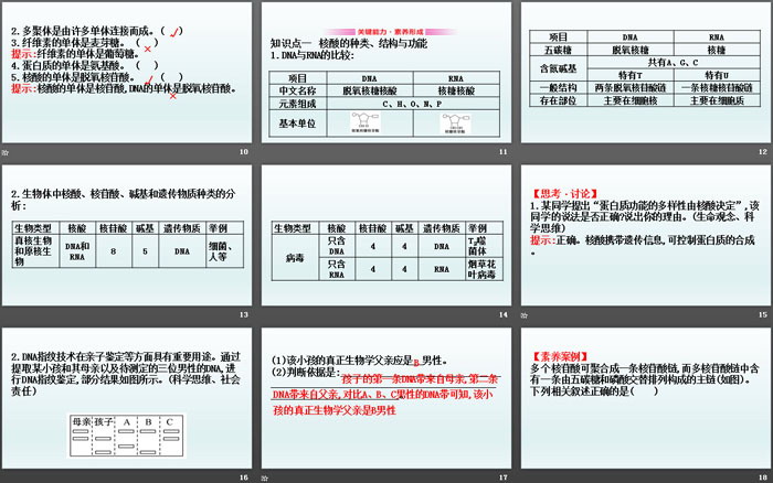《核酸是遗传信息的携带者》组成细胞的分子PPT课件