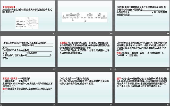 《核酸是遗传信息的携带者》组成细胞的分子PPT课件
