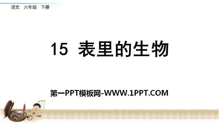 《表里的生物》PPT下载