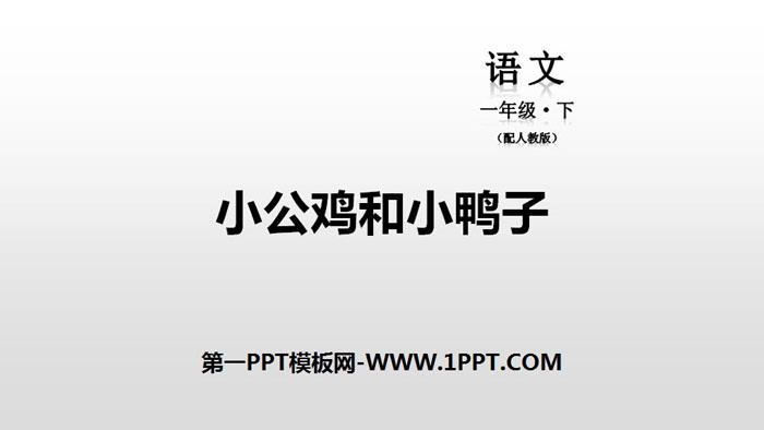 《小公鸡和小鸭子》PPT下载