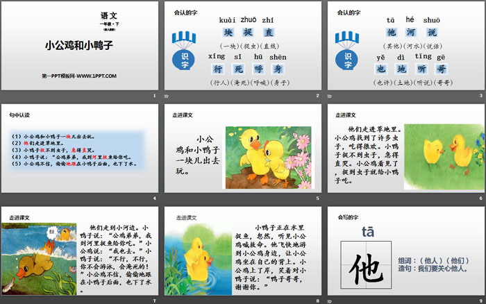 《小公鸡和小鸭子》PPT下载
