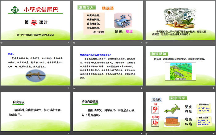 《小壁虎借尾巴》PPT(第一课时)