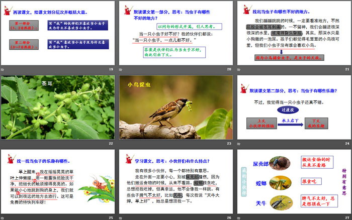 《我是一只小虫子》PPT