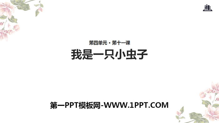 《我是一只小虫子》PPT下载