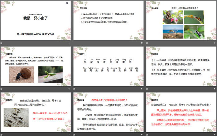 《我是一只小虫子》PPT下载