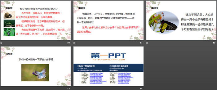 《我是一只小虫子》PPT下载