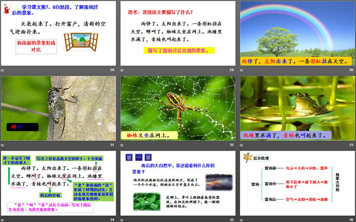 《雷雨》PPT精品课件下载