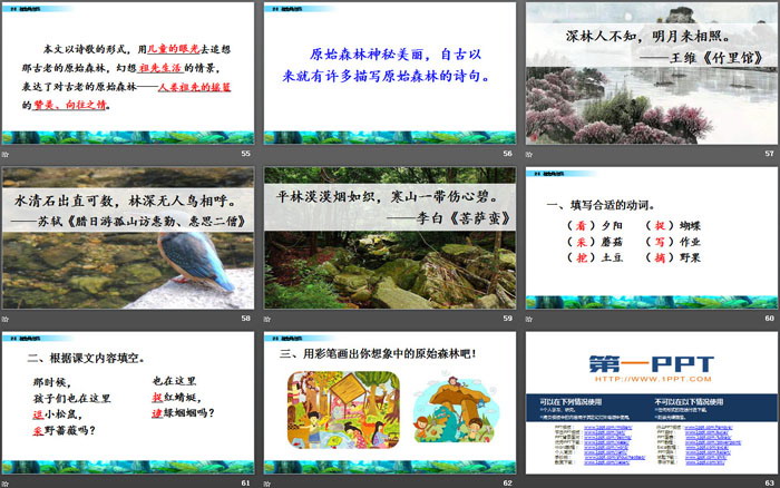 《祖先的摇篮》PPT免费课件