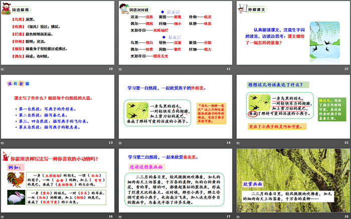 《燕子》PPT课件下载